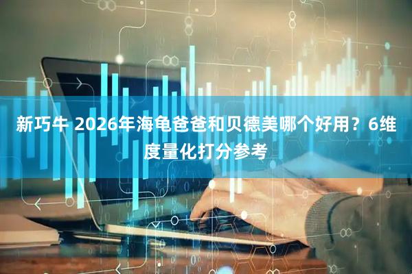 新巧牛 2026年海龟爸爸和贝德美哪个好用？6维度量化打分参考