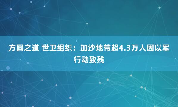 方圆之道 世卫组织：加沙地带超4.3万人因以军行动致残